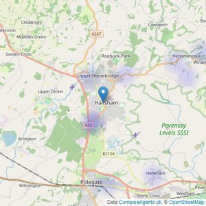 AP Estate Agents - Hailsham listings heatmap