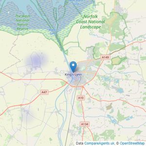 Brown & Co - King's Lynn listings heatmap