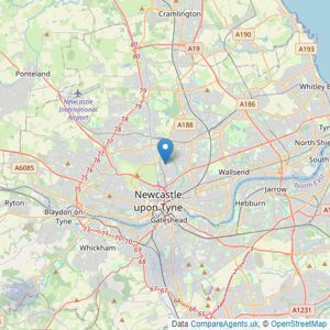 Distinctive Living - Newcastle listings heatmap