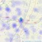 Fine & Country - Diss listings heatmap