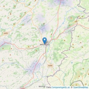 Fine & Country - Welshpool listings heatmap