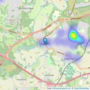 Hawksman Real Estate - Cobham listings heatmap