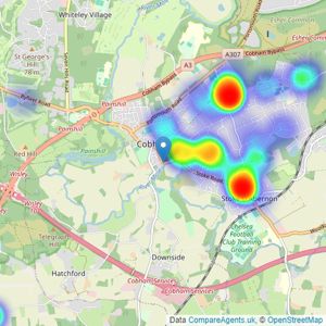 Knight Frank - Cobham listings heatmap