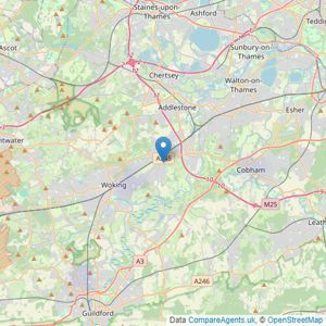 M91 Property Group - West Byfleet listings heatmap