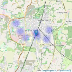 Martin & Co - Burgess Hill listings heatmap