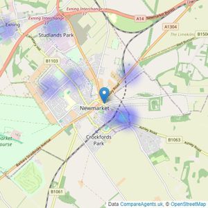 Martin & Co - Newmarket listings heatmap