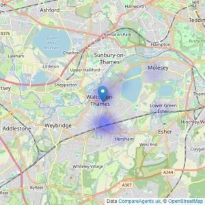 Martin & Co - Walton On Thames listings heatmap