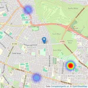 Newcastle Lettings - Newcastle listings heatmap