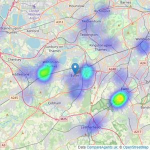 Rice & Roman - Esher listings heatmap