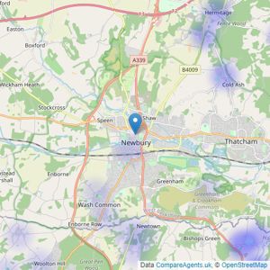 Strutt & Parker - Newbury listings heatmap